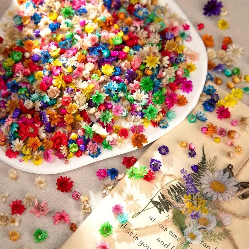 Mixed Colorful Flower for Wax  - Candle Supplies Bulk ulasan dan harga